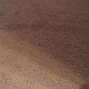 Meet your Posher, Antonio